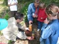 Thea_SpT_2003_1680